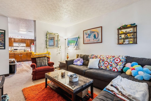 living room with a textured ceiling and light hardwood / wood-style floors