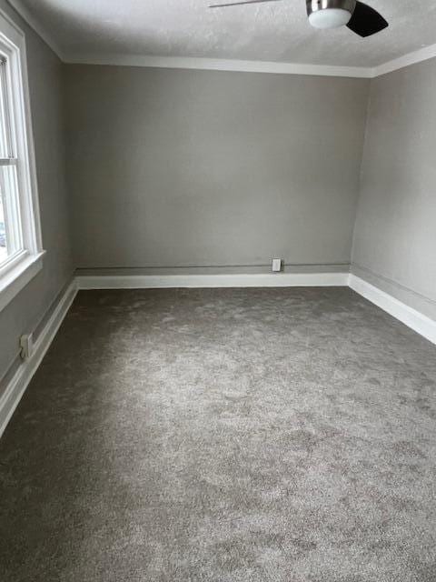 carpeted spare room with ceiling fan and ornamental molding