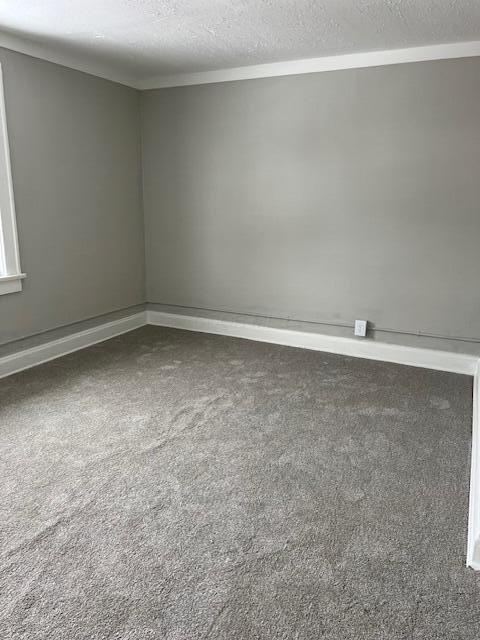 spare room featuring carpet flooring and a textured ceiling