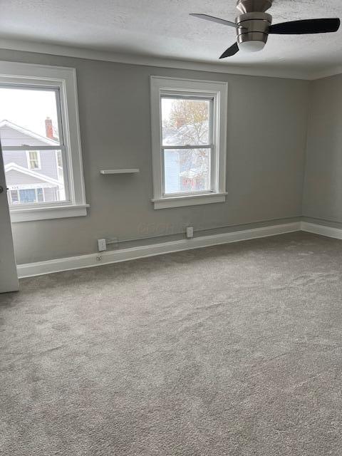 carpeted spare room featuring ceiling fan