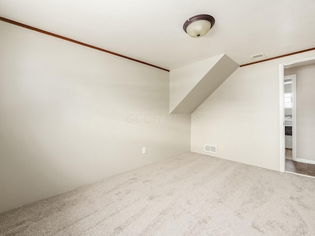 additional living space with carpet floors