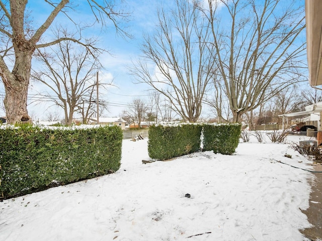 view of yard covered in snow