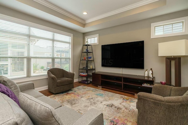 living room featuring a raised ceiling, crown molding, and hardwood / wood-style flooring