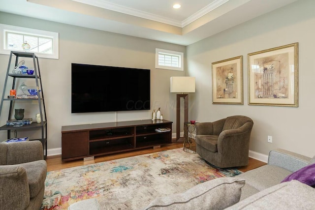 living room featuring a tray ceiling, crown molding, and wood-type flooring