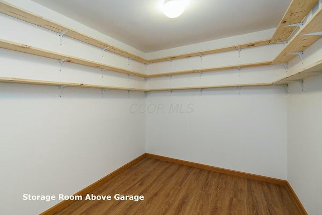 spacious closet with wood-type flooring