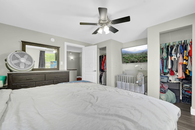 bedroom featuring ceiling fan and dark wood-type flooring