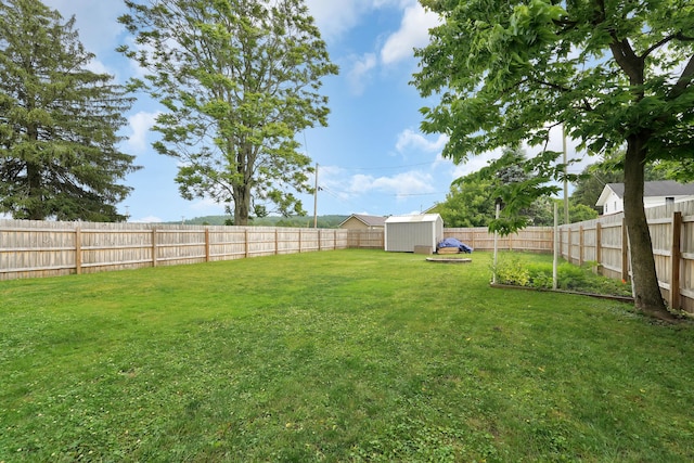 view of yard with a storage shed