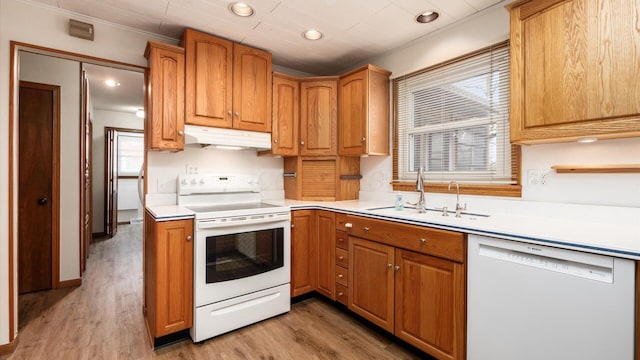 kitchen with light wood-type flooring, white appliances, sink, and ornamental molding