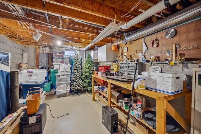 storage room with electric panel