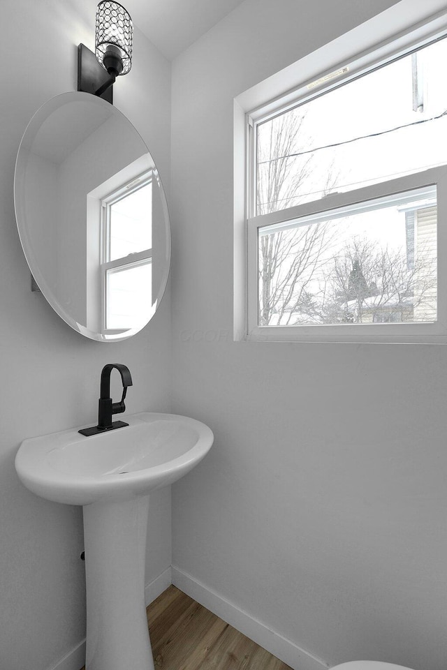 bathroom featuring wood-type flooring