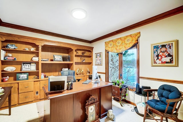 office featuring crown molding and light colored carpet