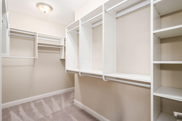 spacious closet featuring light colored carpet