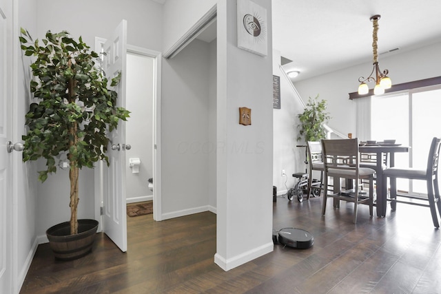 dining room with dark hardwood / wood-style flooring and a notable chandelier