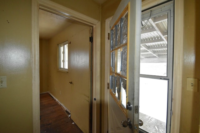 hall featuring dark hardwood / wood-style flooring