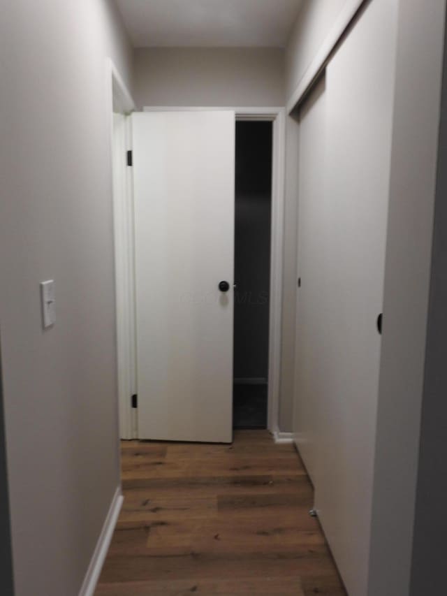 hallway featuring dark hardwood / wood-style flooring