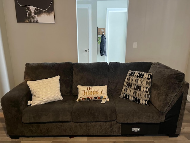 living room featuring hardwood / wood-style floors