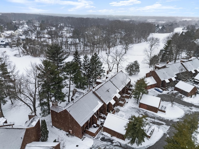 view of snowy aerial view