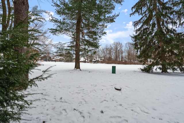 view of yard layered in snow