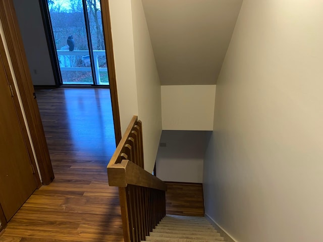 staircase featuring wood-type flooring and a wealth of natural light