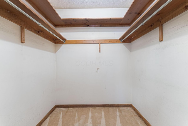 spacious closet with carpet floors