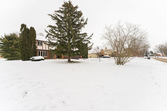 view of yard covered in snow