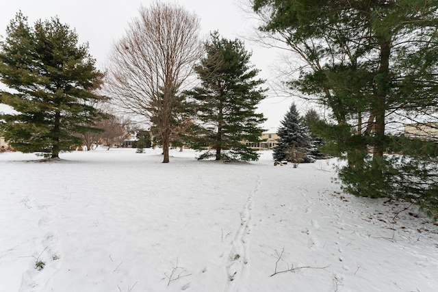 view of snowy yard