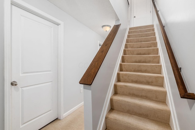 stairs featuring carpet floors