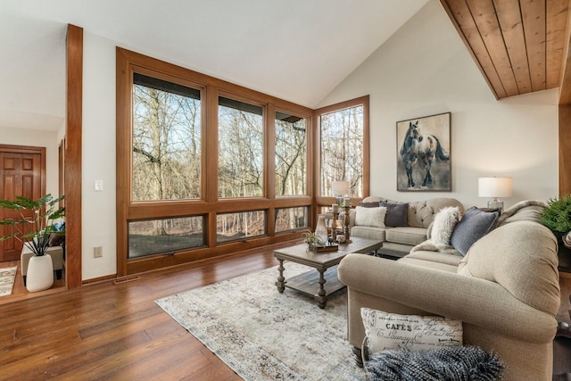 living room featuring dark hardwood / wood-style flooring and lofted ceiling