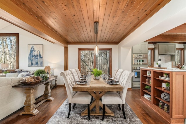 dining space with a healthy amount of sunlight, dark hardwood / wood-style flooring, and wooden ceiling