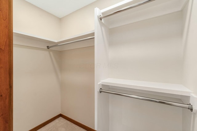 walk in closet featuring light colored carpet