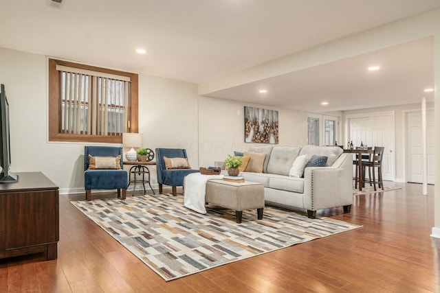 living room featuring wood-type flooring