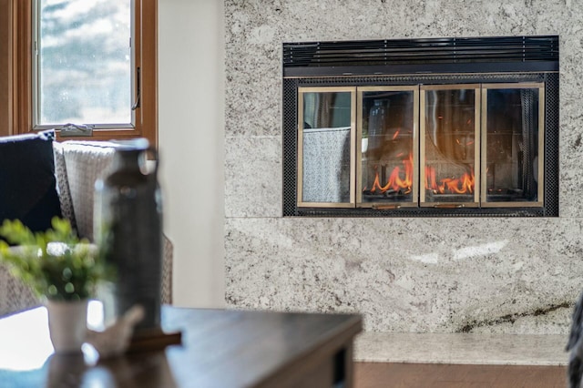 room details featuring a premium fireplace