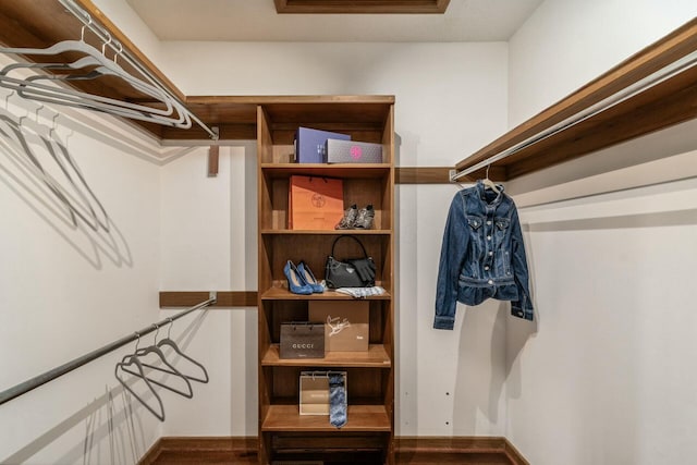 view of spacious closet