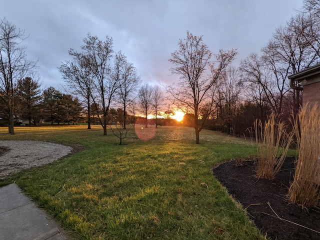 view of yard at dusk