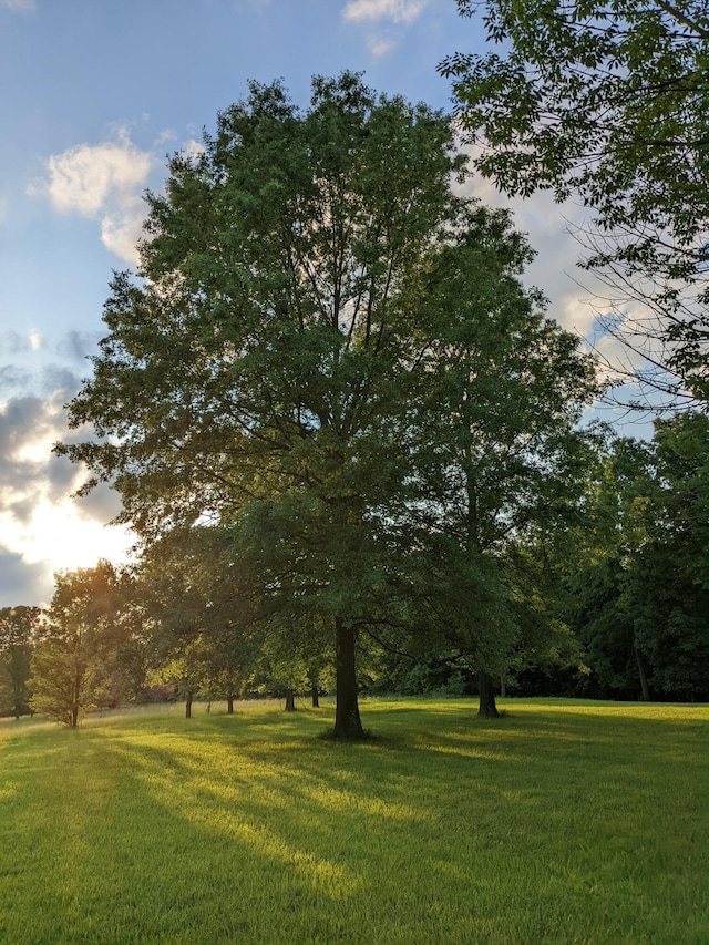 surrounding community with a lawn