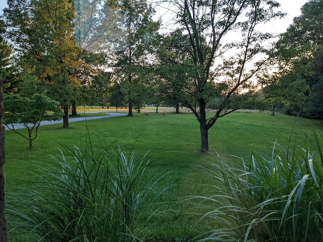 surrounding community featuring a yard