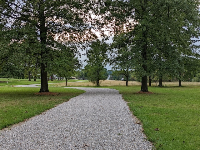 surrounding community featuring a lawn