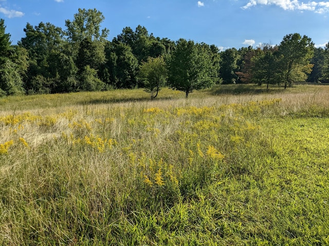 view of landscape featuring a rural view