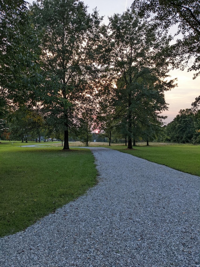 view of community featuring a lawn