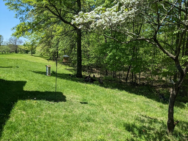 view of property's community featuring a lawn