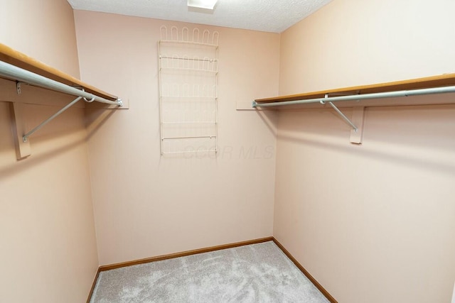 spacious closet with carpet