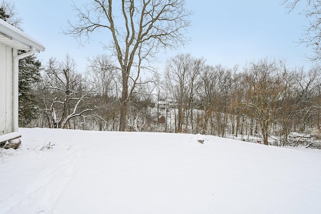 view of yard covered in snow