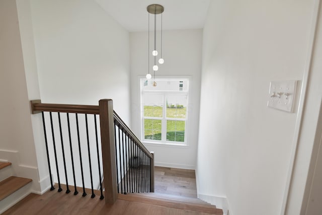 stairs with hardwood / wood-style floors