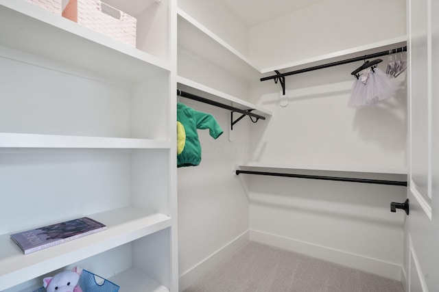 spacious closet with carpet flooring