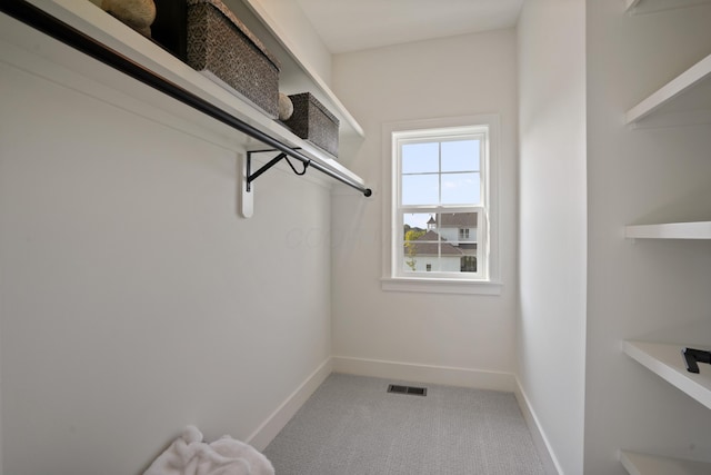 spacious closet featuring carpet