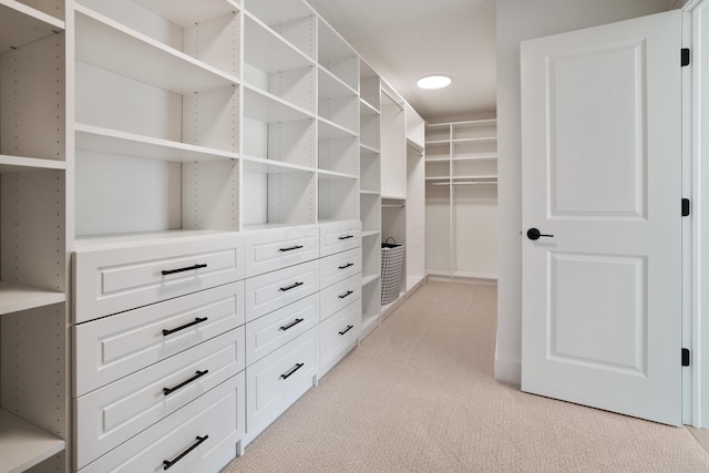 spacious closet featuring light carpet