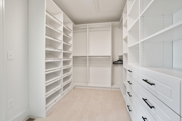 spacious closet featuring light carpet