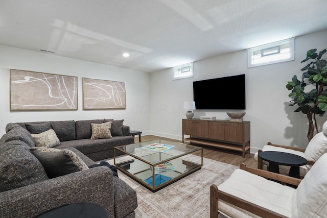 living room featuring wood-type flooring