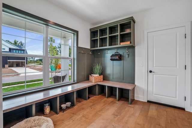 mudroom featuring hardwood / wood-style flooring and a wealth of natural light