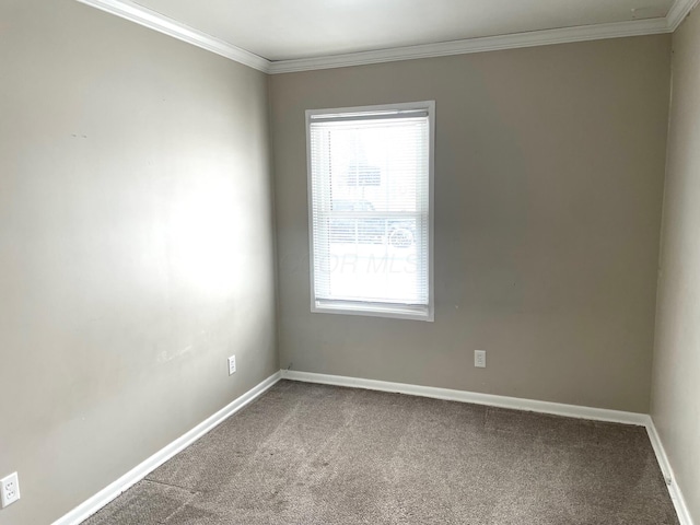 spare room featuring carpet flooring, crown molding, and a wealth of natural light